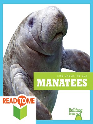 Manatees - ebook